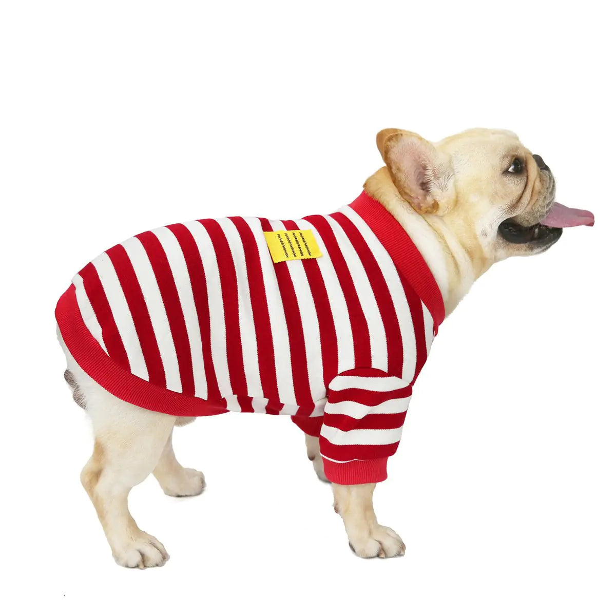 Striped Sweater for Dogs - 100% Cotton