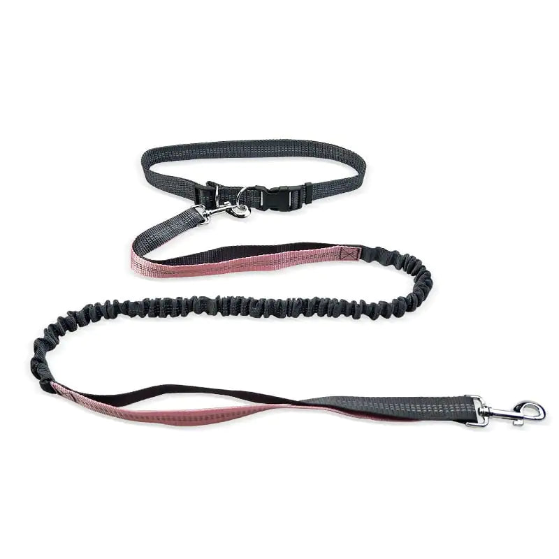 Dog Walking Waist Belt
