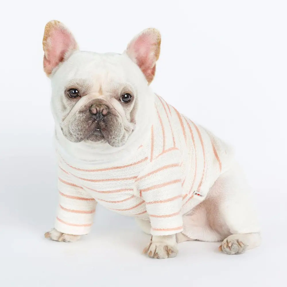 Chic Embroidered Canine Tee