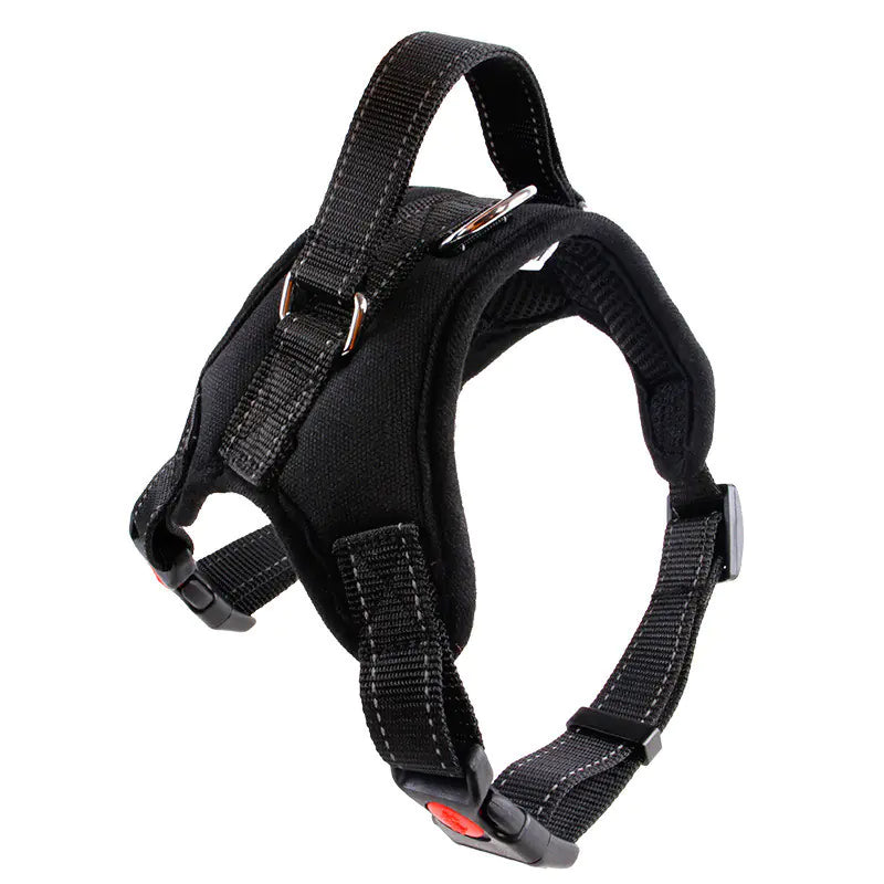 Compact Canine Adventure Resistant Vest