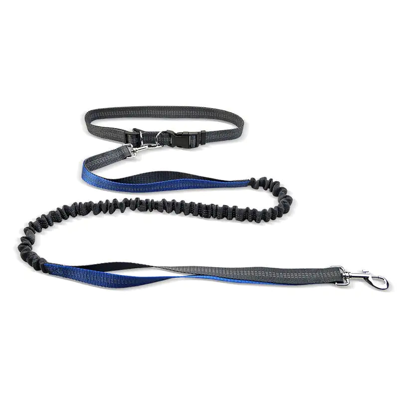 Dog Walking Waist Belt
