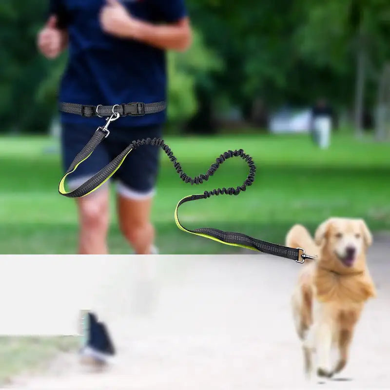 Dog Walking Waist Belt