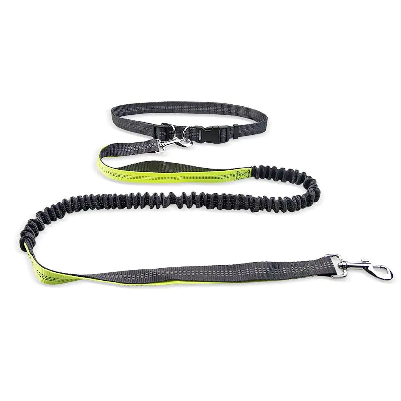 Dog Walking Waist Belt