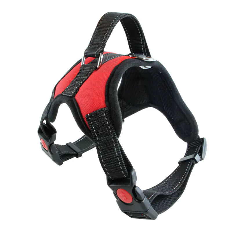 Compact Canine Adventure Resistant Vest