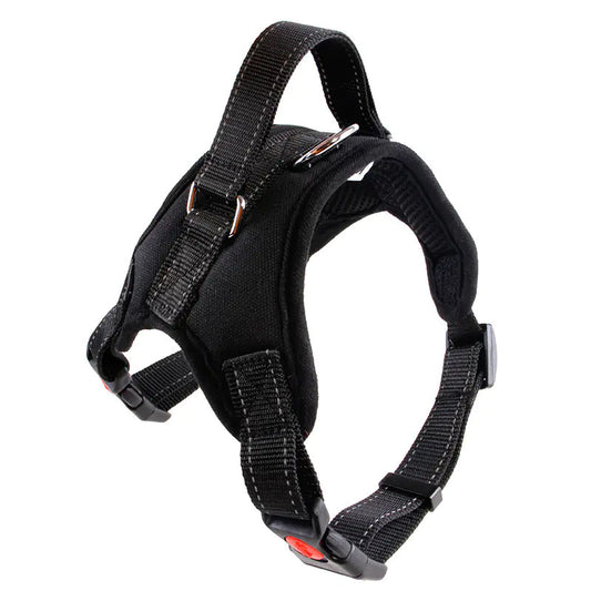 Compact Canine Adventure Resistant Vest