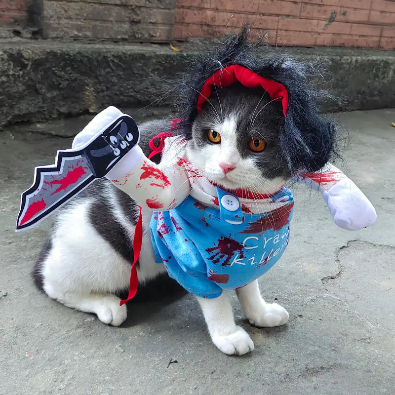 Halloween Costume for Cats and Dogs