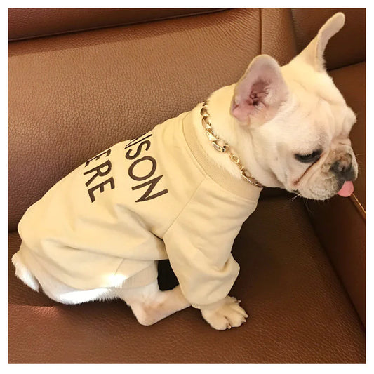Embroidered Maison Pere Cotton Sweater for Dog and Owners