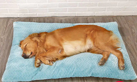 Long Warm Plush Dog Bed - Washable
