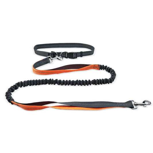 Dog Walking Waist Belt